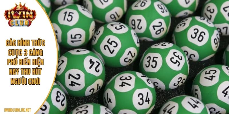 Các hình thức cược 3 càng phổ biến hiện nay thu hút người chơi