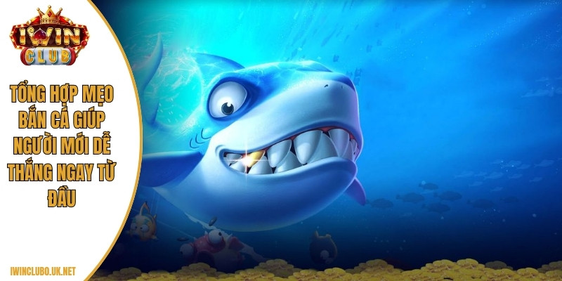 Tổng hợp mẹo bắn cá giúp người mới dễ thắng ngay từ đầu